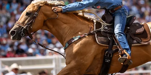 Calgary Stampede Rodeo