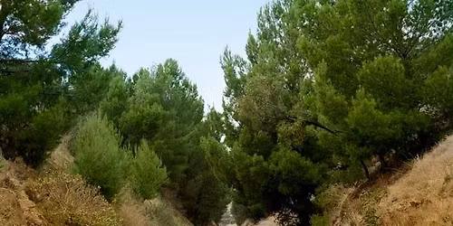 Southern Walk - Coast to Vines railway trail