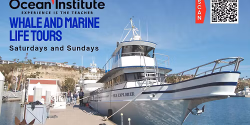 Whale and Marine Life Tours: Charting Marine Wonders Onboard the R\/V Sea Explorer