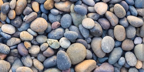 Painting Rocks!