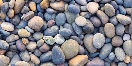 Painting Rocks!