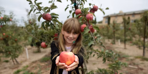 Apple U-Pick SAVE THE DATE