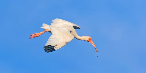 Day Trip to Corson's Inlet State Park, Ocean City, NJ