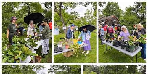 Historic Newton's Plant Swap