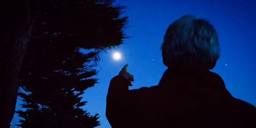 Bat Walk! \/ Teithiau Cerdded Ystlumod!