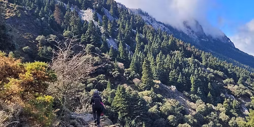 El Pinsapar de Grazalema