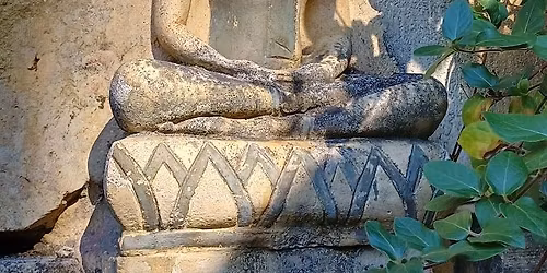 Zenov\u00e9 p\u0159\u00edb\u011bhy v zenov\u00e9m centru