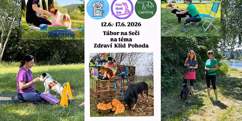 T\u00e1bor na Se\u010di - Zdrav\u00ed Klid Pohoda