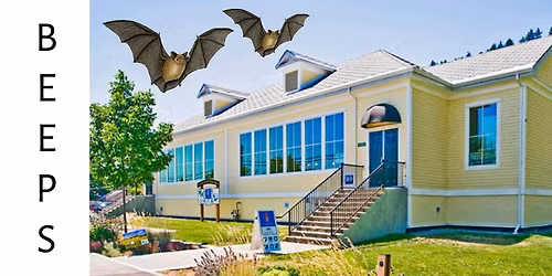 Go Batty in Peachland! - Meadowlark Nature Festival