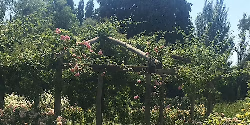 Relaxation and Mindful Walk