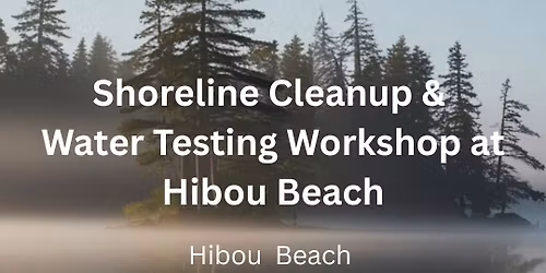 Shoreline Cleanup & Water Testing Workshop at Hibou Beach