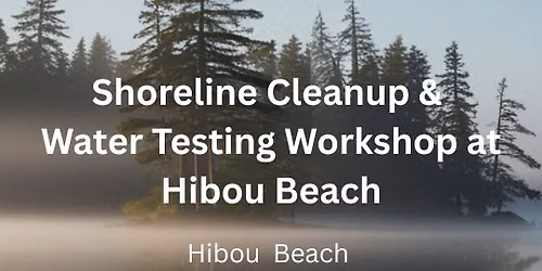 Shoreline Cleanup & Water Testing Workshop at Hibou Beach