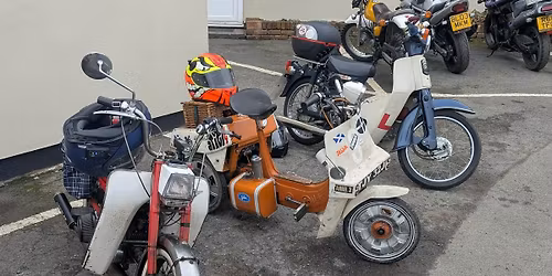 Fatbobs Wheels Moped Mahem