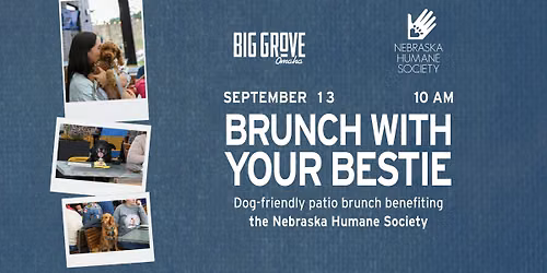Brunch with Your Bestie | A Nebraska Humane Society Fundraiser
