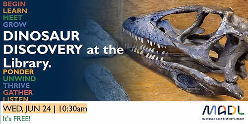 Dinosaur Discovery
