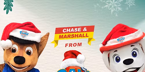 Marshall & Chase christmas meet and greet!