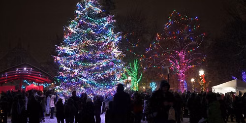 Tree Lighting Ceremony