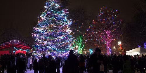 Tree Lighting Ceremony