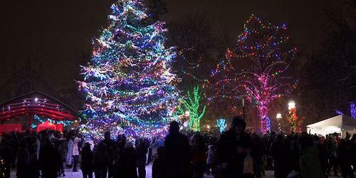 Tree Lighting Ceremony