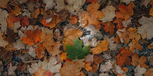 November 2025 MN ENM Group - Topic: Our "Other" Relationships