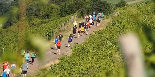 12. Monzinger Wingertslauf