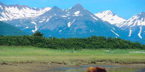 Alaska 2027 CruiseTour Info Night!