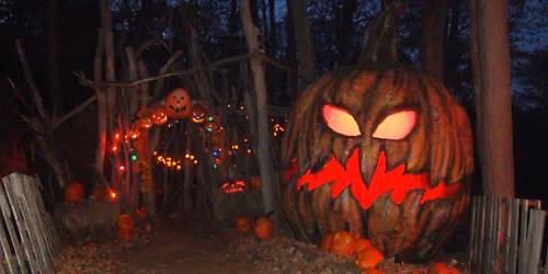 Forest of Fear 2026 - The FINAL Scare