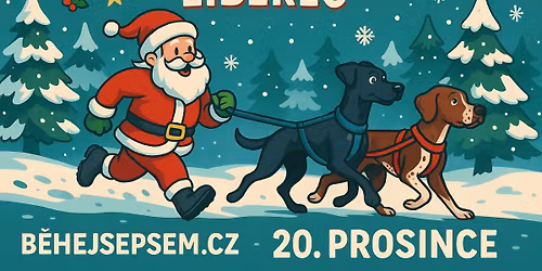 \ud83c\udf84 V\u00e1no\u010dn\u00ed v\u00fdb\u011bh Liberec \ud83c\udf84