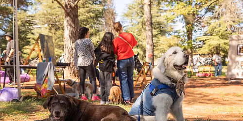 Treat Yo'Self Paws Party!