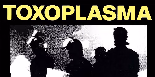 46 Jahre: TOXOPLASMA & G\u00e4ste: The Daisies - D\u00fcsseldorf