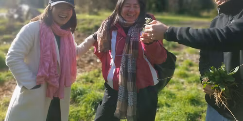 Foraging walk: "Wild Quinoa: learn to id, process and cook!" 