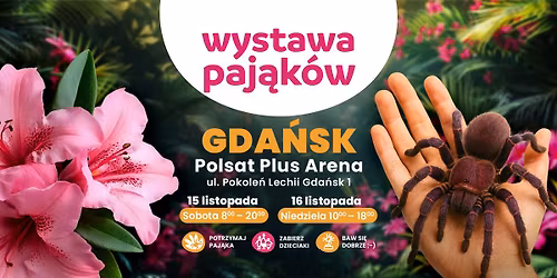 Wystawa Paj\u0105k\u00f3w w Gda\u0144sku na Festiwalu Ro\u015blin \ud83e\udeb4\ud83d\udd77\ufe0f (15.11 - 16.11)