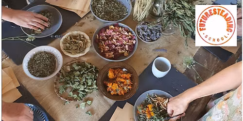 Herbal Tea Blending Workshop Summer 2027 #2
