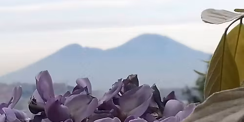 21 Dicembre, 2500 anni fa COMPLEANNO di Napoli