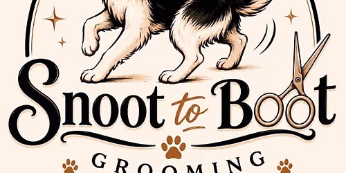 Meet and Greet - with Morgan- Snoot To Boot Dog Grooming 