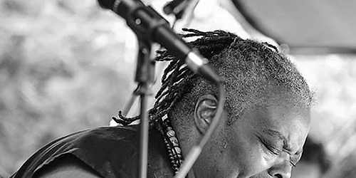 The Blues: Alexis P. Suter Band