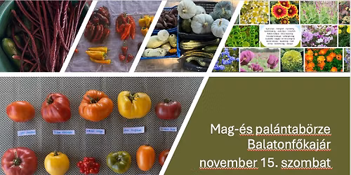 \u0150szi mag-\u00e9s pal\u00e1ntab\u00f6rze Balatonf\u0151kaj\u00e1ron (XII)