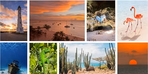 ARUBA COPIA: A Restorative Creative Retreat for Women