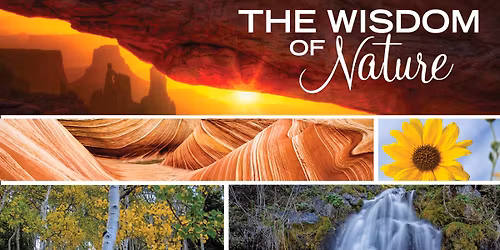 How to understand the true wisdom of your body - as explained by German New Medicine