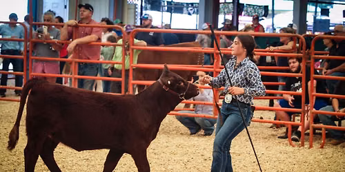 2026 4-H & FFA Open Beef Show