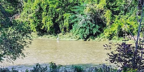 Humber River: Old Mill to Mount Dennis
