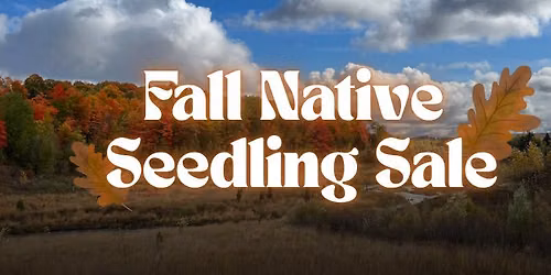 Fall Native Seedling Sale