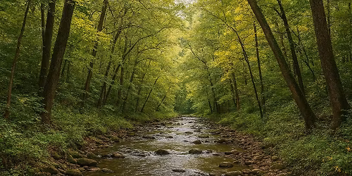 December Social - Pizza and Trivia