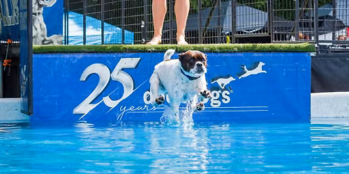 DockDogs\u00ae at the 41st Annual Country Fair & Auctions
