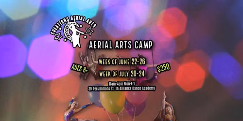 Aerial Arts Camp