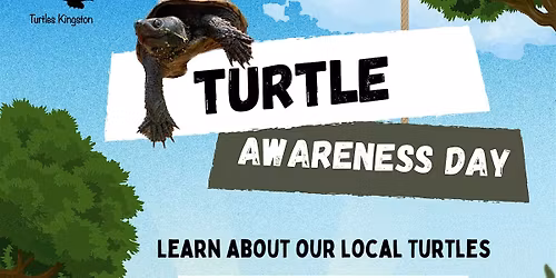 Turtle Awareness Day