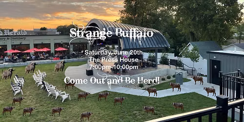 Saturday June 20 - The Strange Buffalo Experience