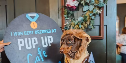 Birmingham - Dachshund Pup Up Cafe \u2600\ufe0f
