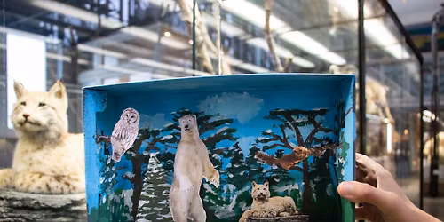 Bois-Blancs \/ Atelier Pop-up -  La for\u00eat en diorama