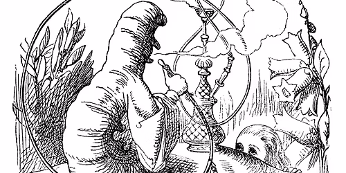 Fungi in Literature: FUNGI of the NORTH WOODS: 2026 Keweenaw Natural History seminars